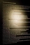 The Bill of Responsibilities for the youth of South Africa