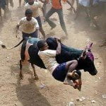 Ritual sacrifice and the ANC centenary