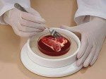 The ethics of eating meat